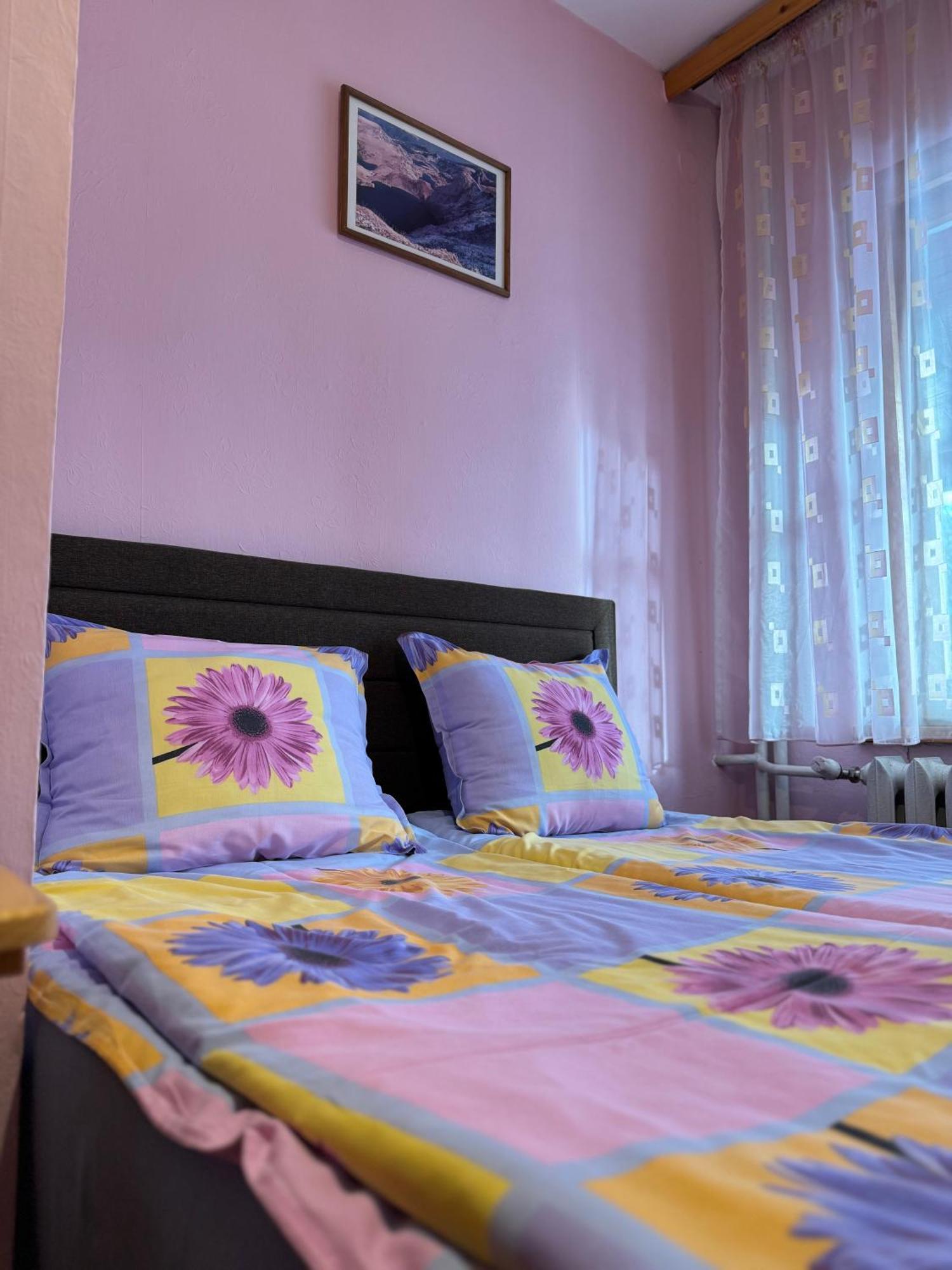 Mama Emiliya Guest House Beli Iskăr Exterior foto