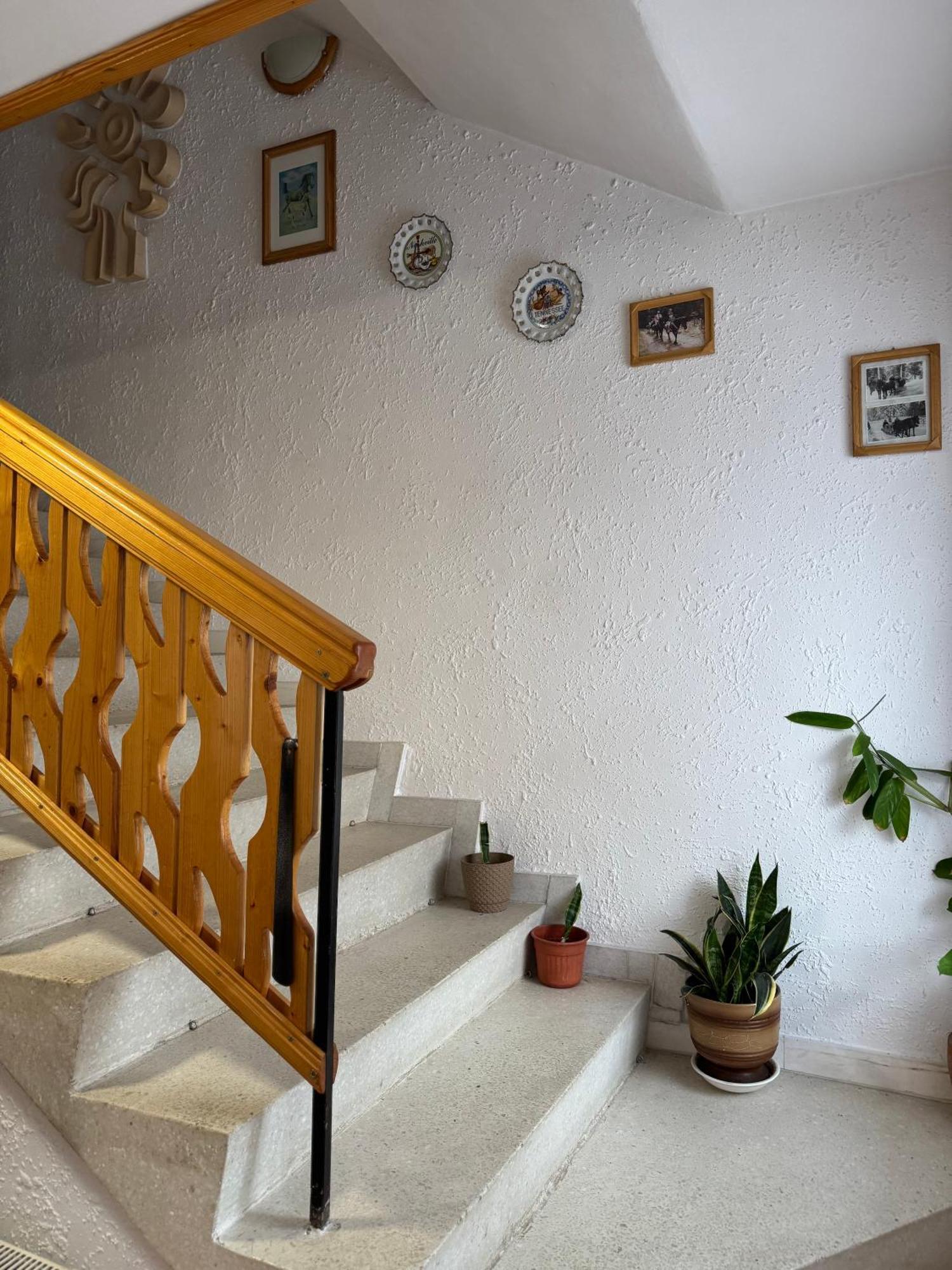 Mama Emiliya Guest House Beli Iskăr Exterior foto